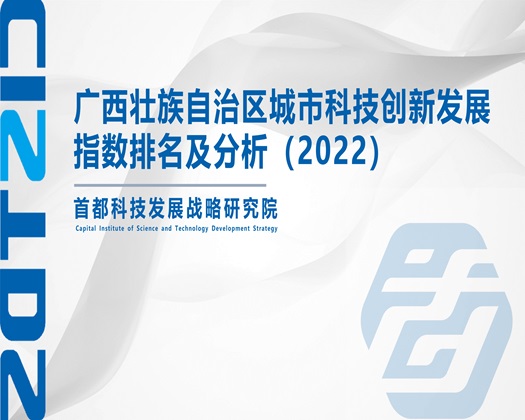 啊啊啊啊啊啊啊好湿啊!快播【成果发布】广西壮族自治区城市科技创新发展指数排名及分析（2022）